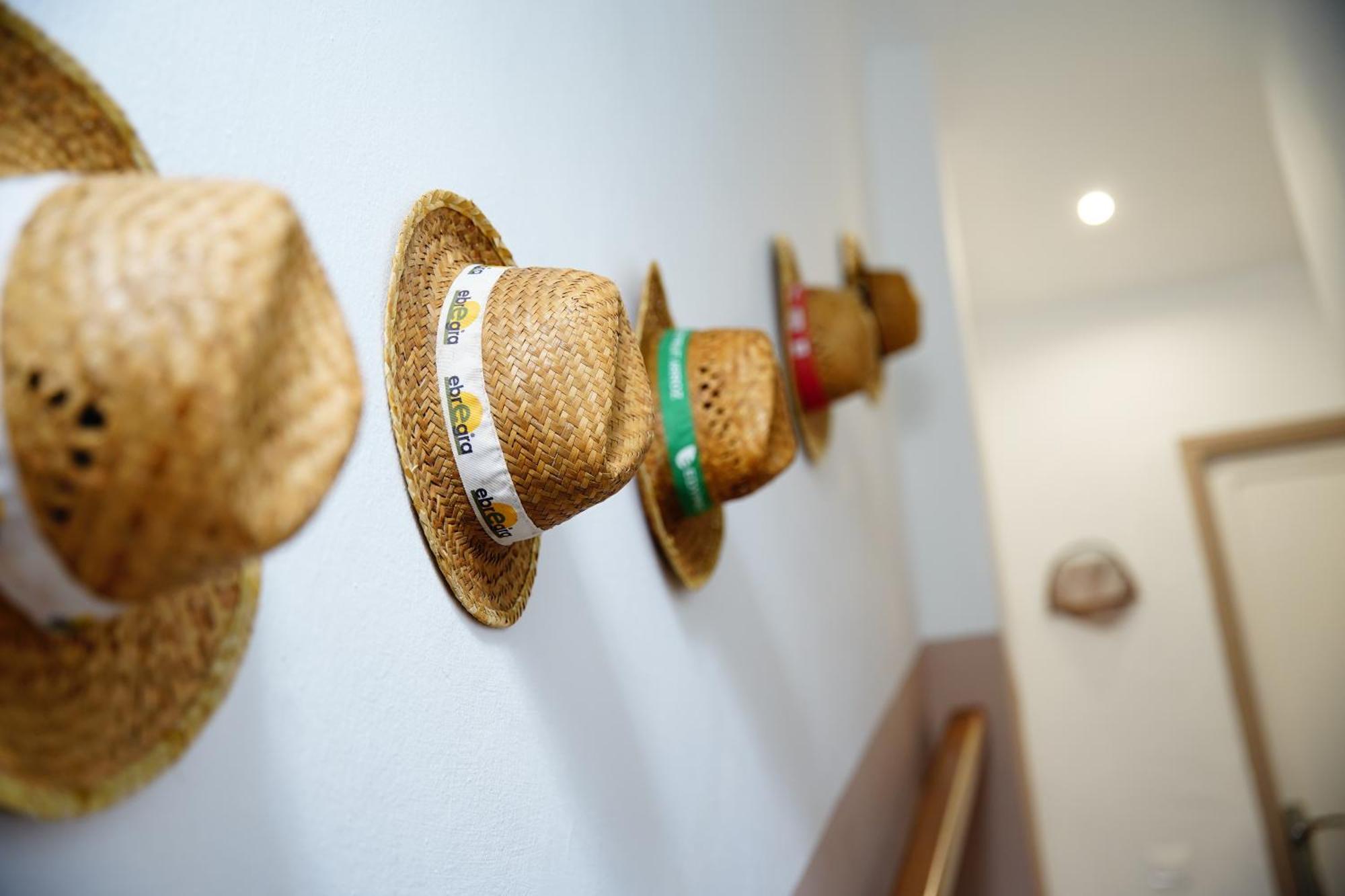 Casa Pastoret Deltebre Zewnętrze zdjęcie
